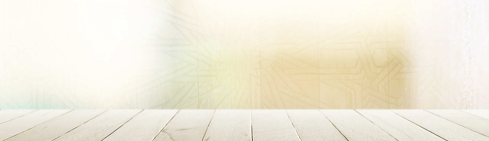 mss-slider_0005_Background